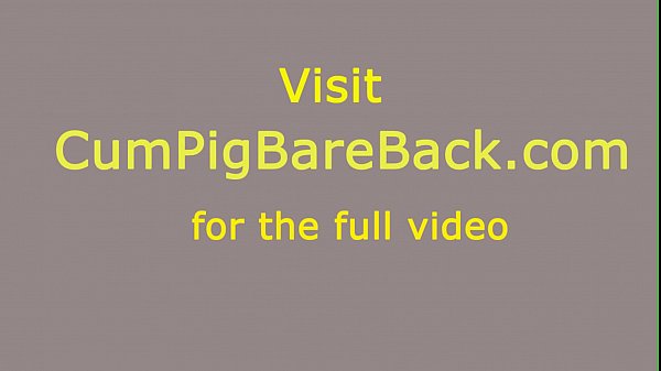 Big black bear mounts bears butt and rides